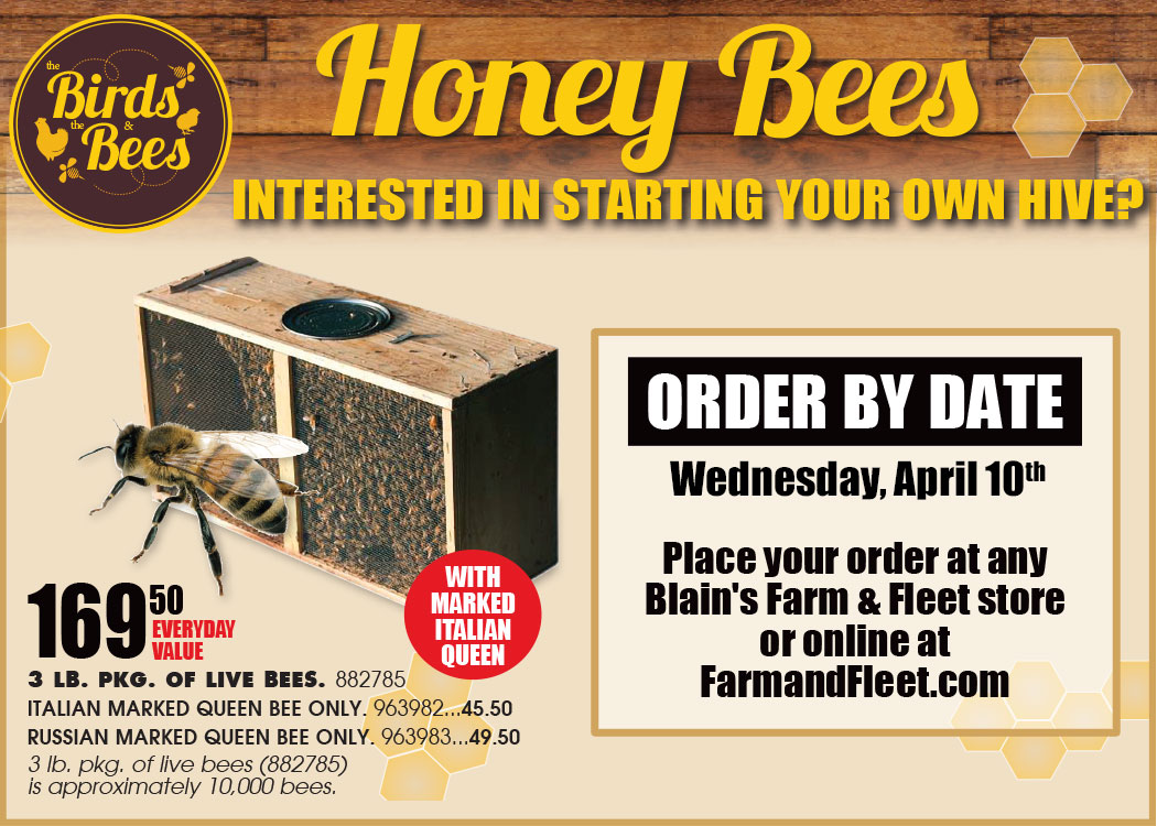 Bees Archives Blain's Farm & Fleet Blog
